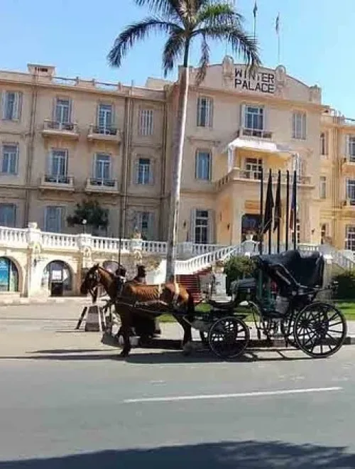 Private Horse & Carriage Tour in Luxor (Hantoor Experience)